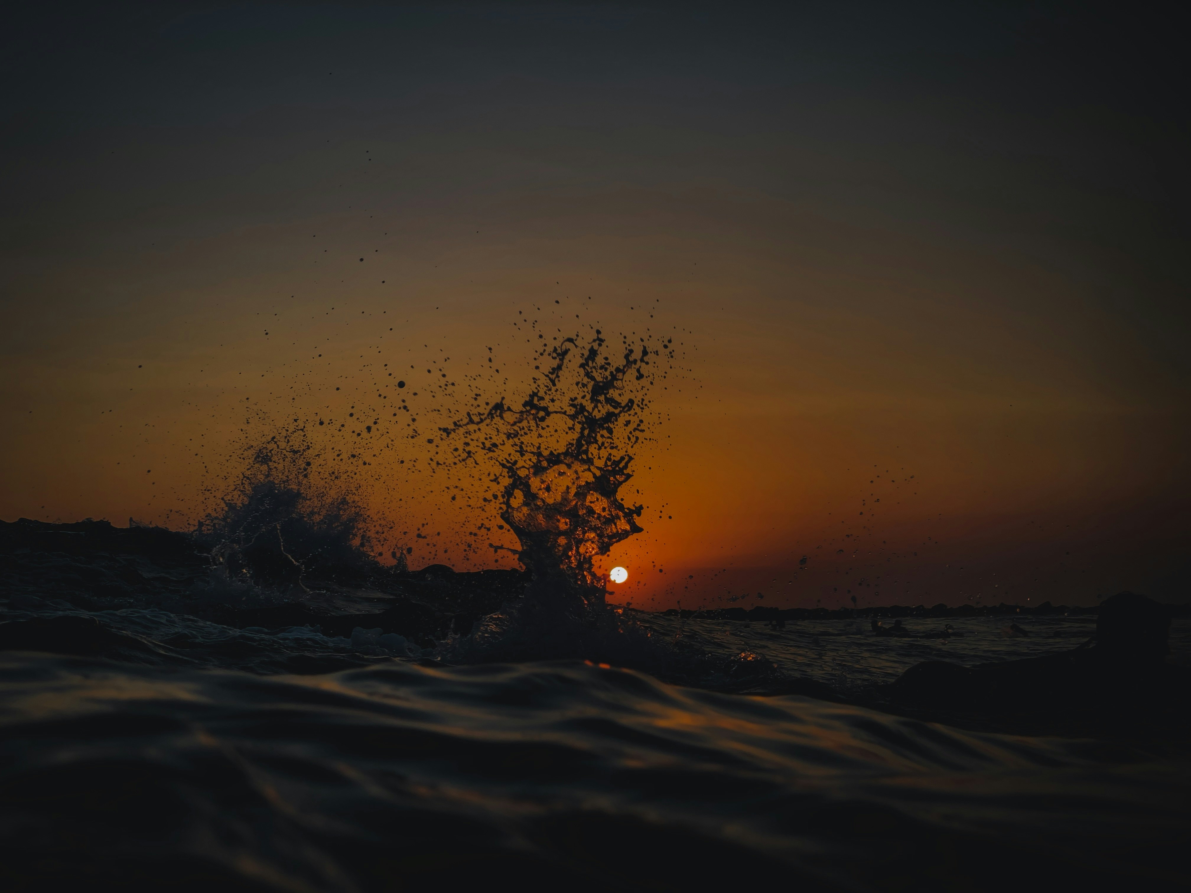 silhouette of tree during sunset